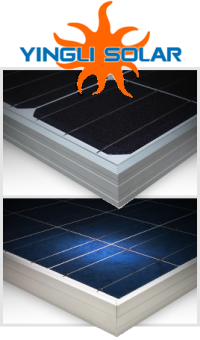 Yingli Module